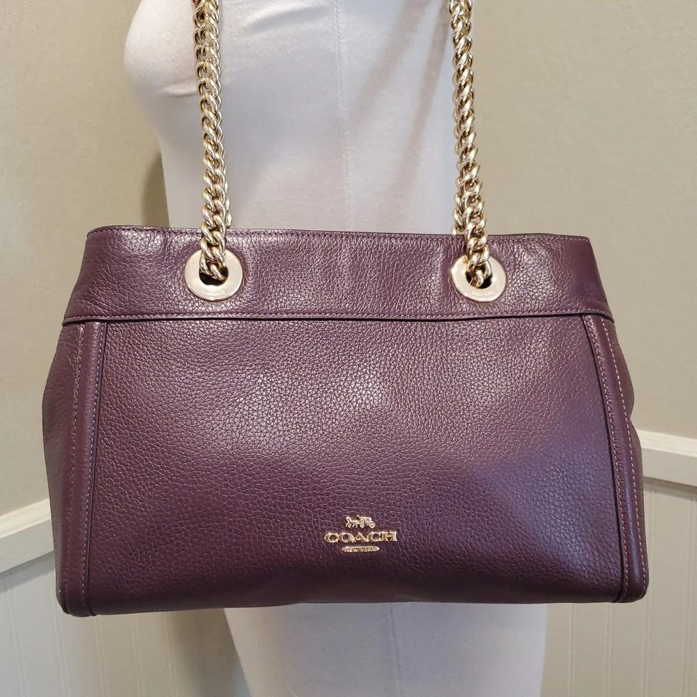 Coach Brooke Chain Carryall Bag - Picture 2 of 13